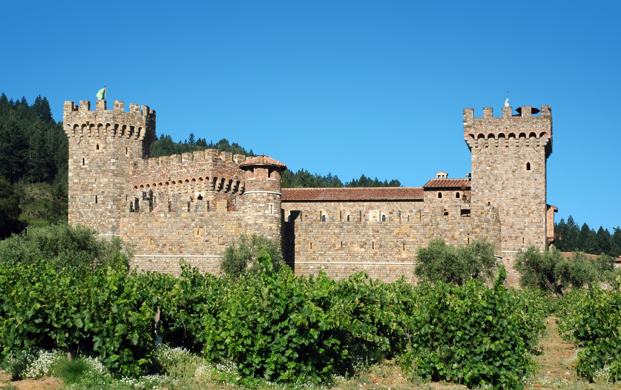 The medieval-style stone towers and walls of Castello di Amorosa rise above vineyard rows near Calistoga in Napa Valley, California. Alternative text: Castello di Amorosa stone castle surrounded by grapevines in Napa Valley, California. Title: Castello di Amorosa in Napa Valley Caption: The castle-inspired Castello di Amorosa winery surrounded by Napa Valley vines. Description: The medieval-style stone towers and walls of Castello di Amorosa rise above vineyard rows near Calistoga in Napa Valley, California.