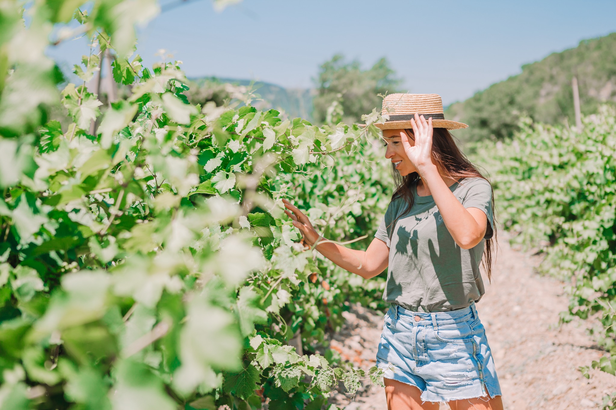 A woman wearing a straw hat explores healthy green grapevines beneath clear skies in Napa Valley, California. Alternative text: Woman in a straw hat exploring green grapevines on a sunny day in Napa Valley. Title: Exploring a Napa Valley Vineyard Caption: A traveler walks between lush vineyard rows on a sunny Napa Valley day. Description: A woman wearing a straw hat explores healthy green grapevines beneath clear skies in Napa Valley, California.