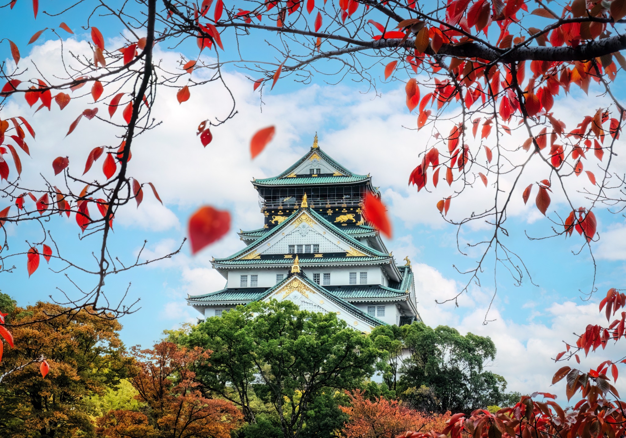A scenic seasonal view of Osaka Castle surrounded by vivid red and orange leaves, green trees and a bright blue sky with white clouds.