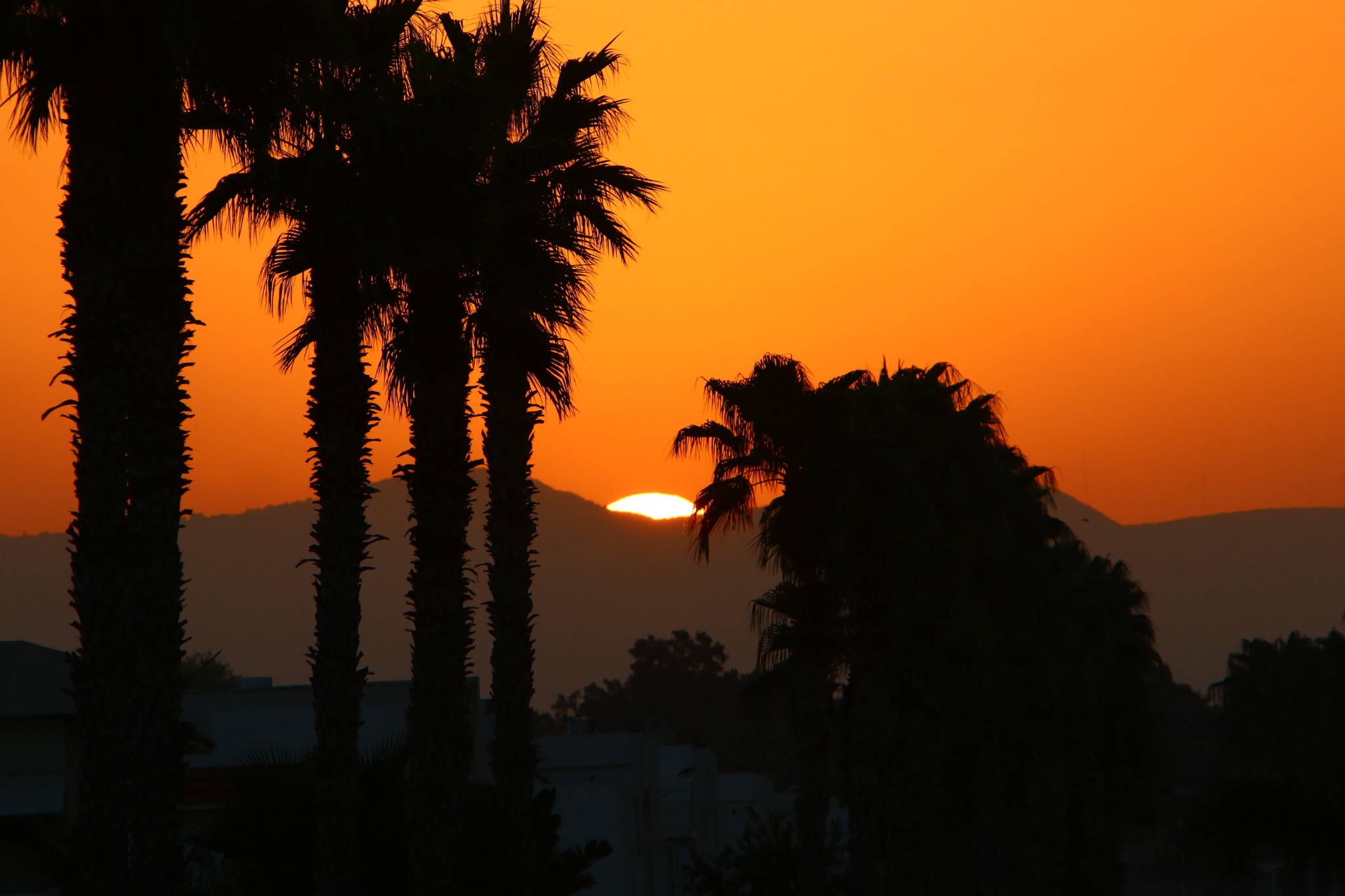 Top 30 Things to Do in Palm Springs in 2026: Tours, Tramway, and Desert Day Trips