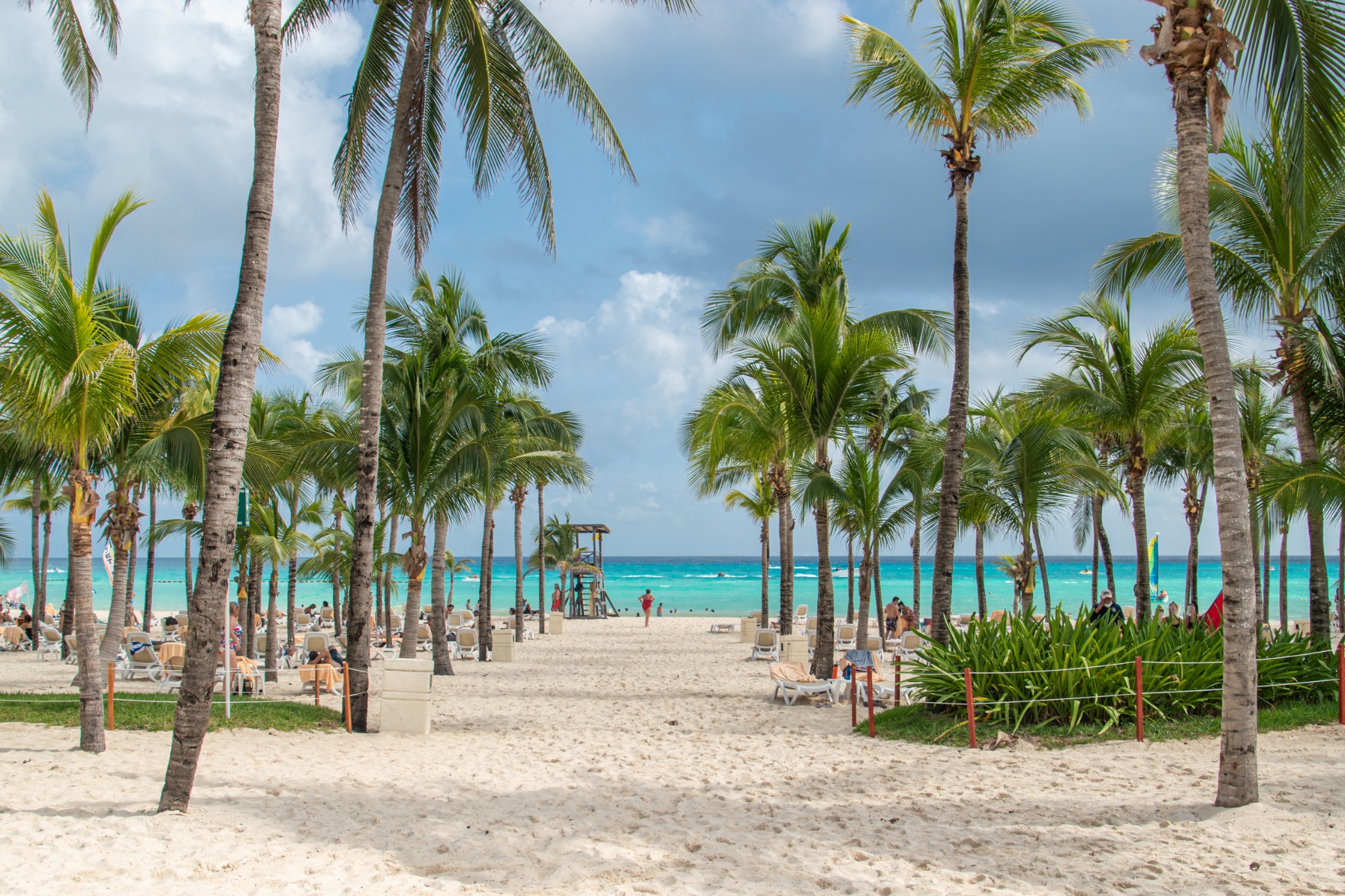Tropical travel image of a palm-lined white sand beach, lounge chairs and turquoise water in Playa del Carmen on Mexico’s Riviera Maya.
